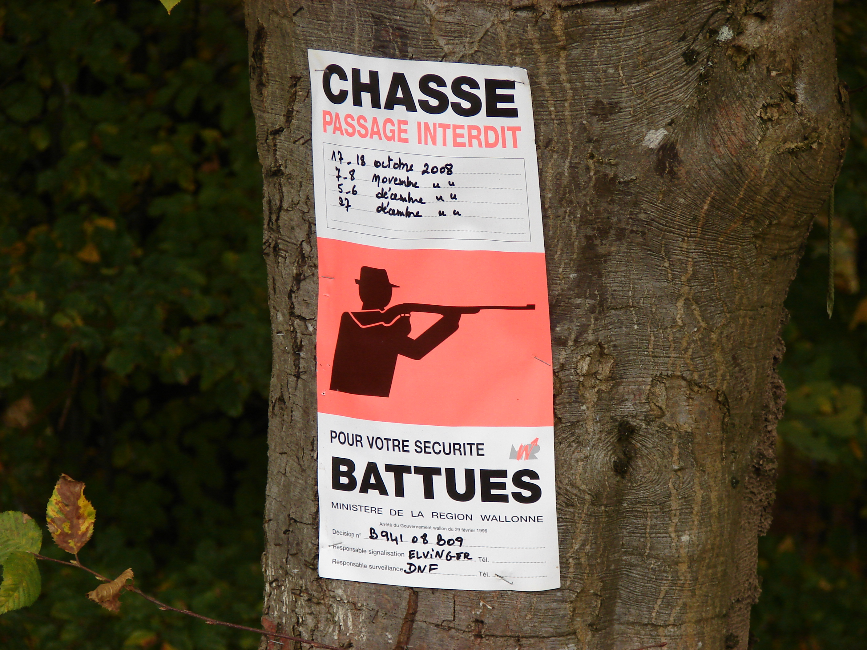 Interdiction des battues